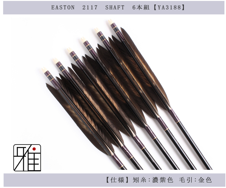 弓道 矢 EASTON 1913 イーストン 黒鷲尾羽 ジュラ矢 - その他