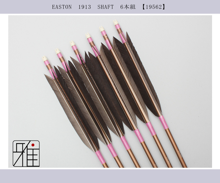 弓道 矢 easton xx75 2015 6本 矢筒セット EASTON xx75 1913 95cm 弓道矢 6