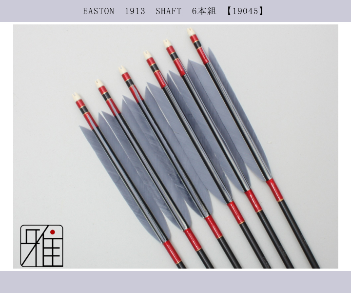 弓道 矢6本＋矢筒 軽便矢筒 ビニール製 小 無地 （収納本数：約6