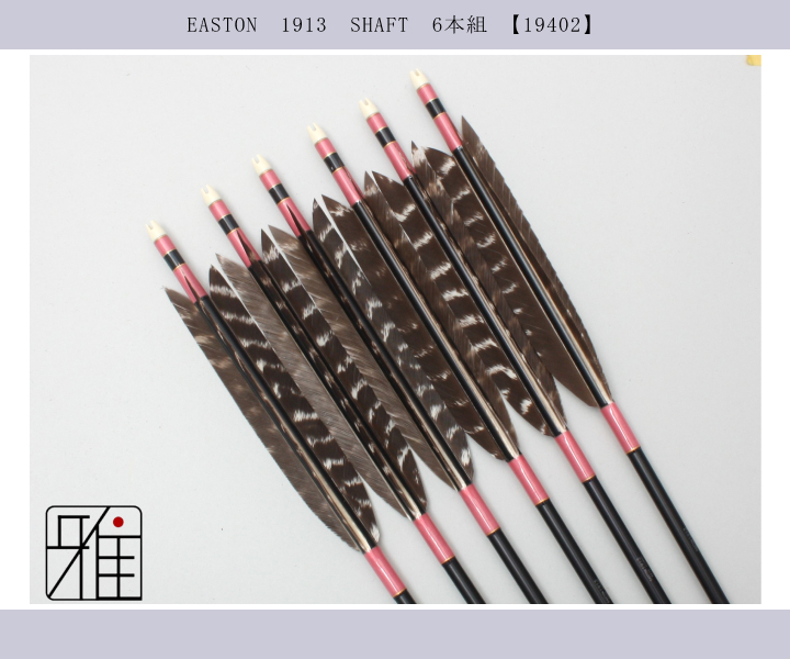弓矢セット 中古 11本 EASTON XX75 2015 弓道の矢 羽根付き10本セット