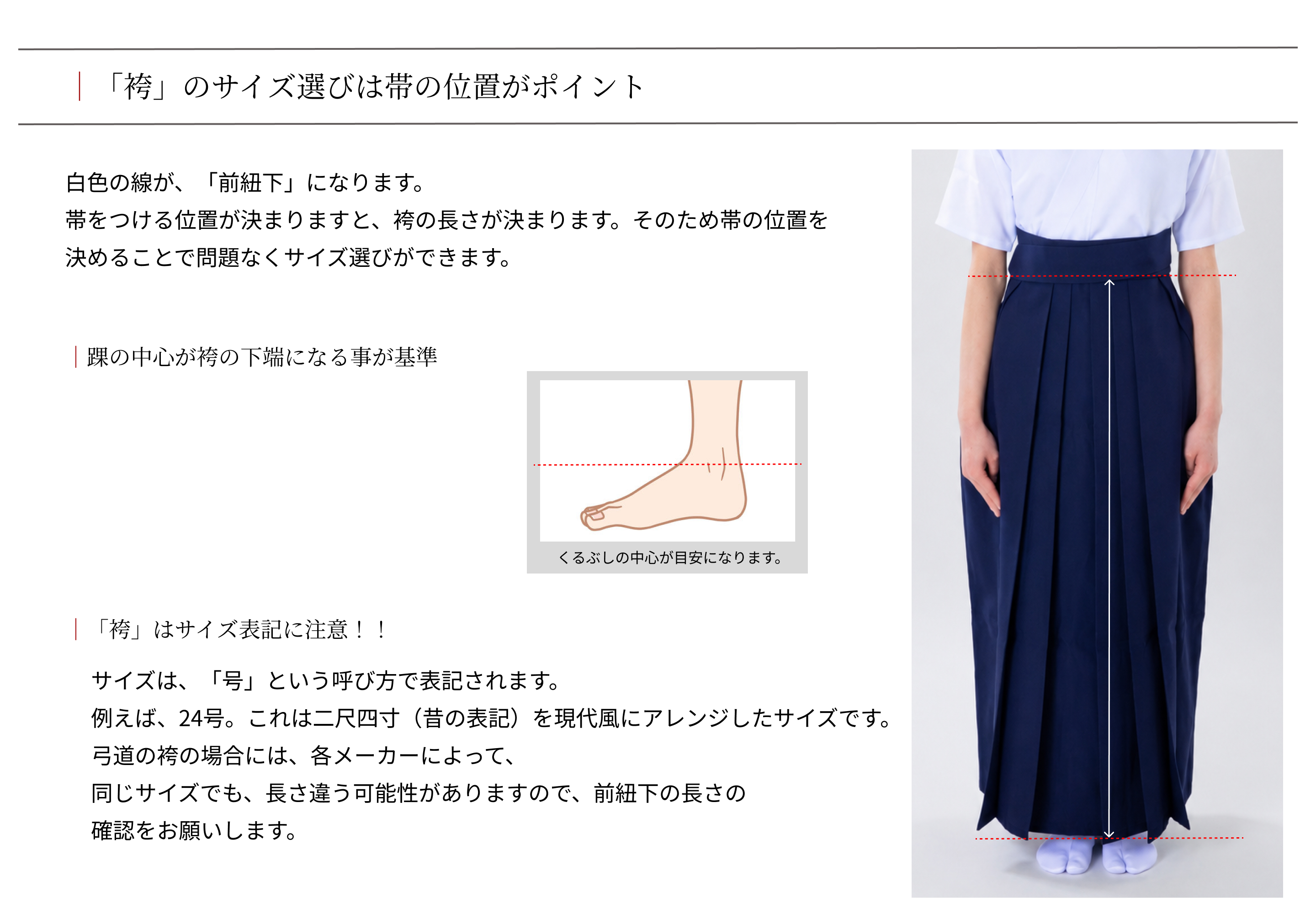 サイズ感