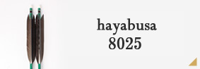 hayabusa 8025